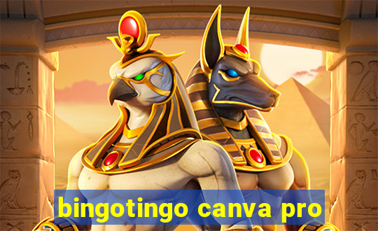 bingotingo canva pro